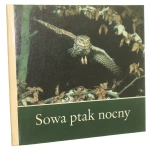 sowa (1).JPG