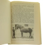 Studia nad hodowlą koni zimnokrwistych i pogrubionych (4).JPG