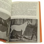 dwa wieki polskiej hodowli koni arabskich pruski (9).JPG
