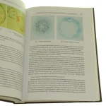 Biotechnologiczne i medyczne podstawy ksenotransplantacji (9).JPG