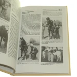 jazda konna dla niepełnosprawnych (5).JPG