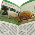 Zwierzęta gospodarskie (6).JPG