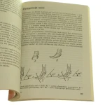 chów kóz (5).JPG