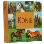 Konie Album (1).JPG