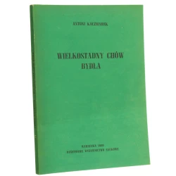 Wielkostadny chów bydła Antoni Kaczmarek [1980]