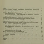 Konie małopolskie (2).JPG