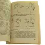 Jeździectwo (5).JPG