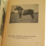 Fragmenty współczesnego (4).JPG