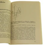 zasady hodowli królików (5).JPG