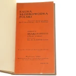 fauna słodkowodna (2).JPG