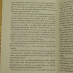ali baba (3).JPG