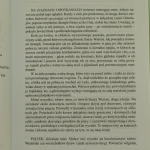 droga birmańska (3).JPG