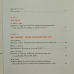 wiara i niepodległość (3).JPG