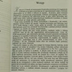 złota dłoń (5).JPG
