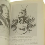 grafika ilustracyjna (3).JPG