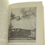 grafika ilustracyjna (4).JPG