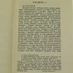 talmur (3).JPG