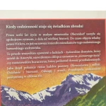 miasteczko w (2).JPG