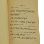 zabilam (3).JPG