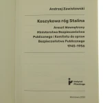 koszykowa (3).JPG