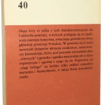 sługa (2).JPG