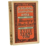 zycie termitów (1).JPG
