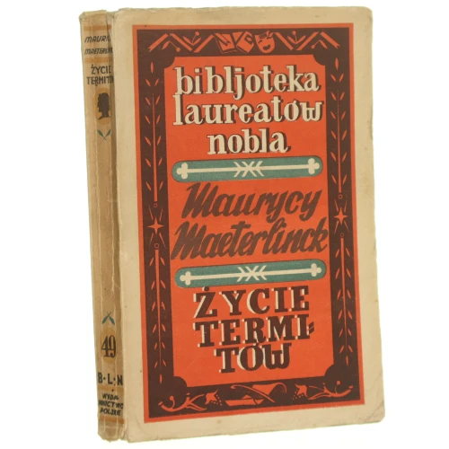 zycie termitów (1).JPG