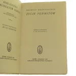 zycie termitów (2).JPG