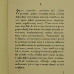 zycie termitów (4).JPG
