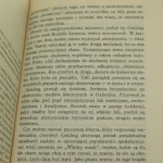 papierowi (3).JPG