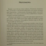 stracone (3).JPG
