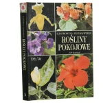 rośliny (1).JPG