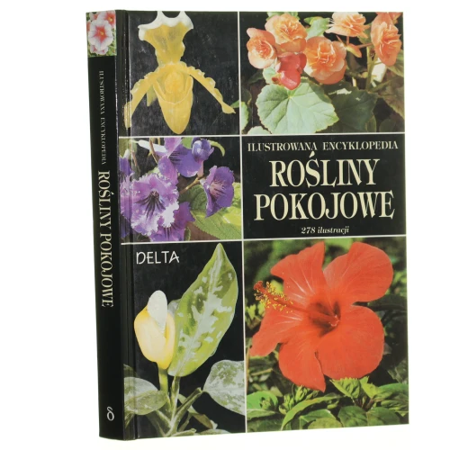 rośliny (1).JPG