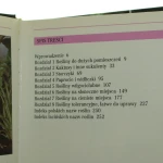 rośliny (2).JPG