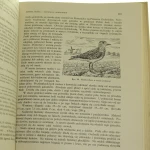 Ptaki ziem polskich t. I-II Sokołowski Bogumił [1958]