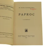 Paproć (2).JPG