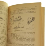 Z biologii ptaków Sokołowski (5).JPG