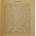 kwiaty w naturze (3).JPG
