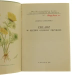 Zielarz (2).JPG