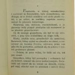 ta trzecia (2).JPG