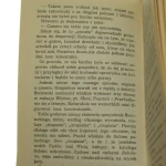 ta trzecia (3).JPG