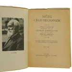 mózg (3).JPG