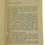 wróć (2).JPG