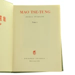 mao (2).JPG
