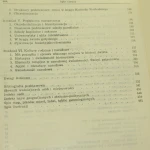 europa słowiańska (3).JPG