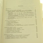 europa słowiańska (2).JPG