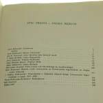 stulecie (2).JPG