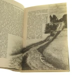 ziemia gromadzi prochy (4).JPG