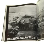 zwycięstwo w europie (5).JPG