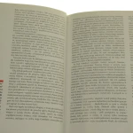 Narodowi socjaliści (2).JPG